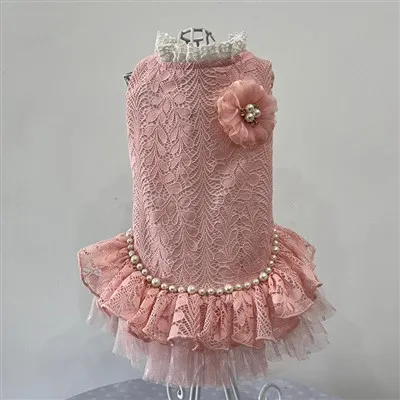 Pet Lace Dress
